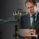 وکیل دانایی محور